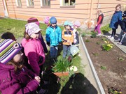 Pečujeme o květinový záhonek